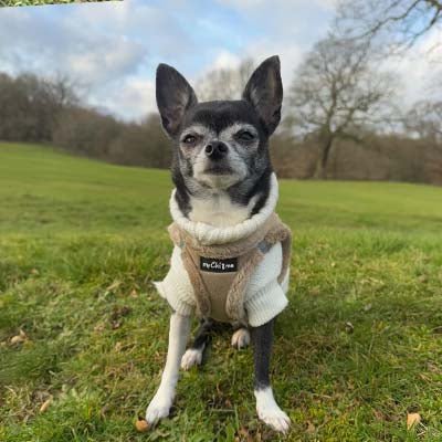Tiny Trails Step In Soft Touch Suede Effect Faux Fur Lined Puppy and Small Dog Harness Caramel - Pet Supplier Store