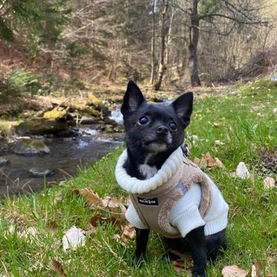 Tiny Trails Step In Soft Touch Suede Effect Faux Fur Lined Puppy and Small Dog Harness Caramel - Pet Supplier Store