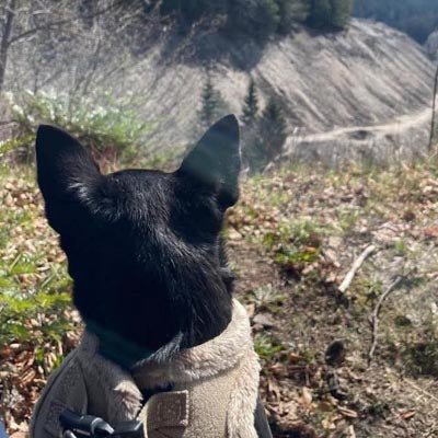 Tiny Trails Step In Soft Touch Suede Effect Faux Fur Lined Puppy and Small Dog Harness Caramel - Pet Supplier Store