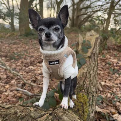 Tiny Trails Step In Soft Touch Suede Effect Faux Fur Lined Puppy and Small Dog Harness Caramel - Pet Supplier Store