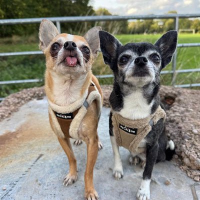 Tiny Trails Step In Soft Touch Suede Effect Faux Fur Lined Puppy and Small Dog Harness Mocha - Pet Supplier Store