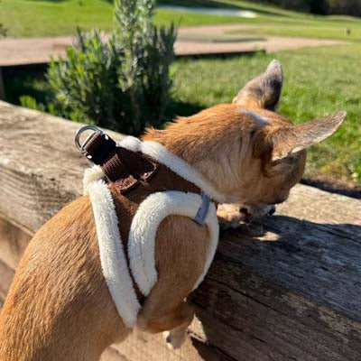 Tiny Trails Step In Soft Touch Suede Effect Faux Fur Lined Puppy and Small Dog Harness Mocha - Pet Supplier Store
