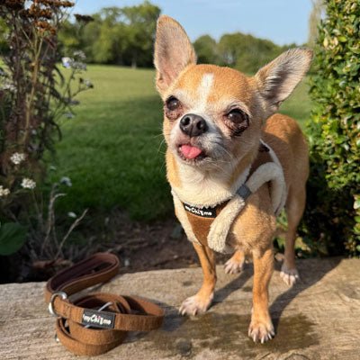 Tiny Trails Step In Soft Touch Suede Effect Faux Fur Lined Puppy and Small Dog Harness Mocha - Pet Supplier Store