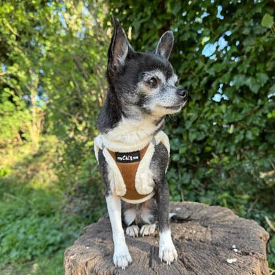 Tiny Trails Step In Soft Touch Suede Effect Faux Fur Lined Puppy and Small Dog Harness Mocha - Pet Supplier Store