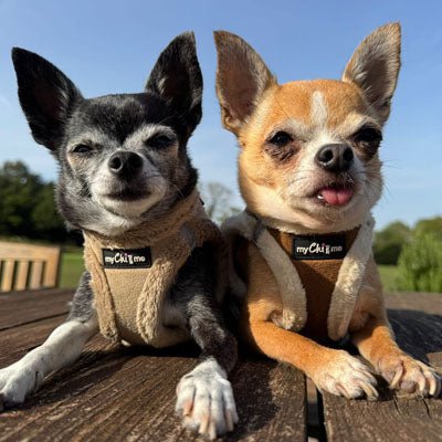 Tiny Trails Step In Soft Touch Suede Effect Faux Fur Lined Puppy and Small Dog Harness Mocha - Pet Supplier Store