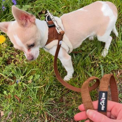 Tiny Trails Step In Soft Touch Suede Effect Faux Fur Lined Puppy and Small Dog Harness Mocha - Pet Supplier Store