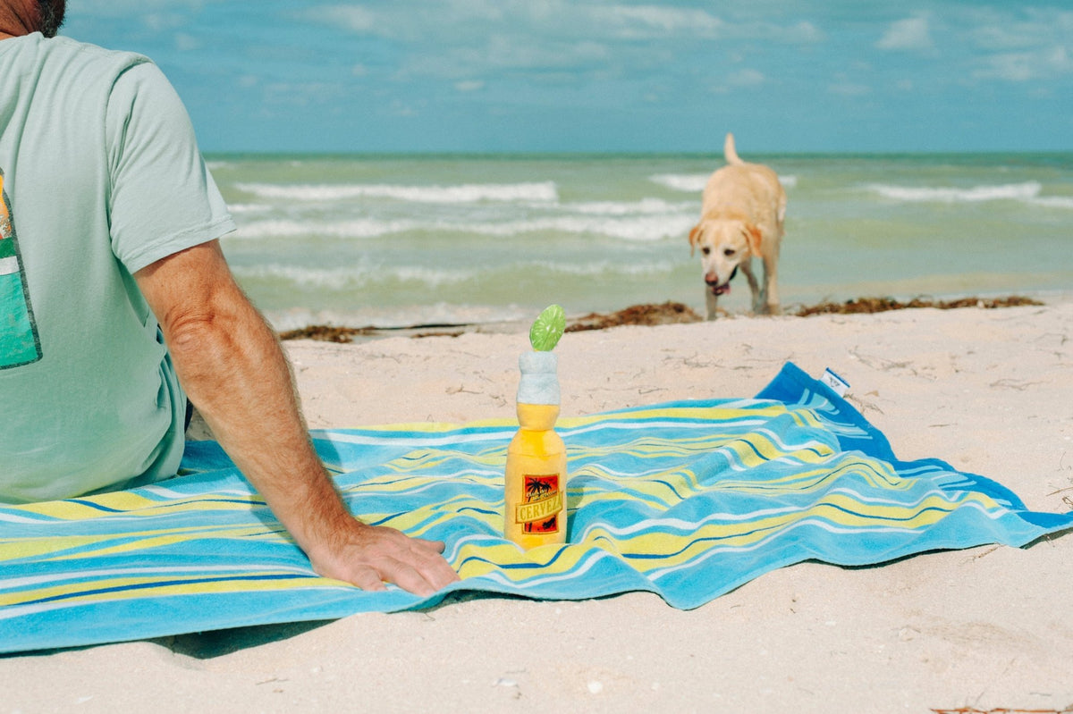 Tropical Paradise Canine Cerveza - Pet Supplier Store