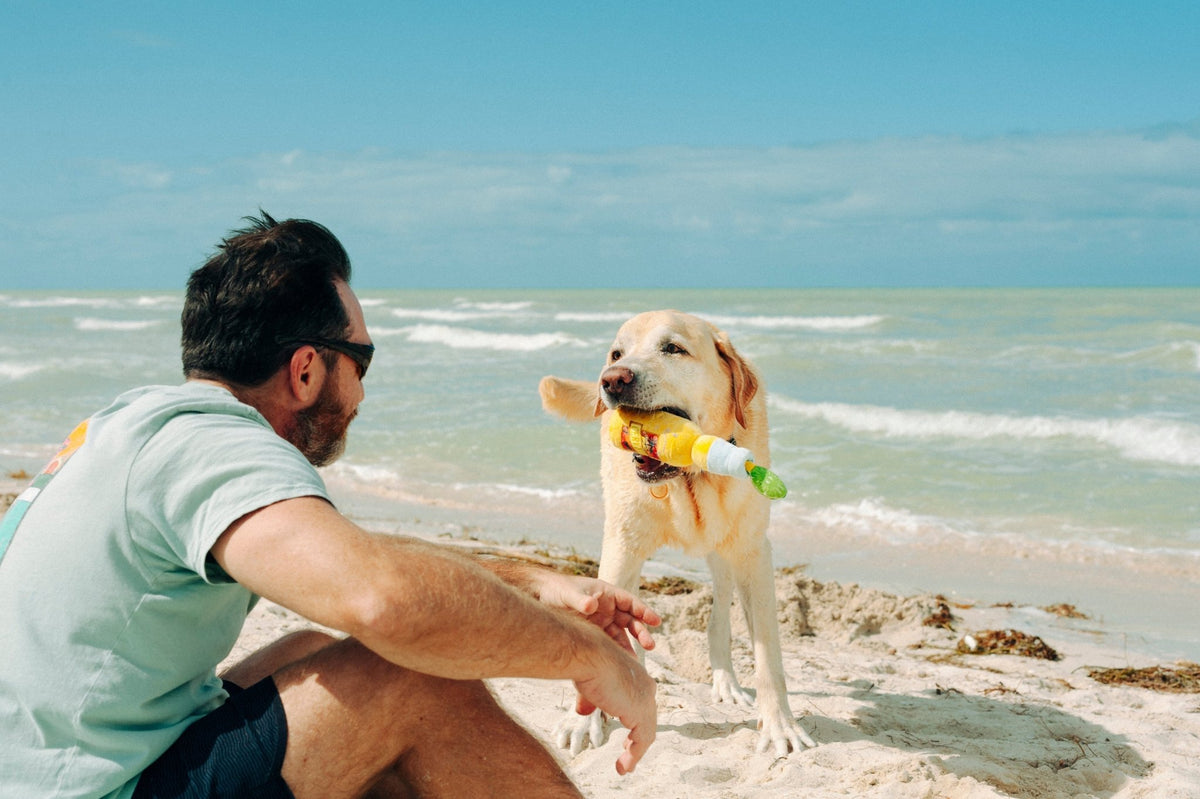 Tropical Paradise Canine Cerveza - Pet Supplier Store