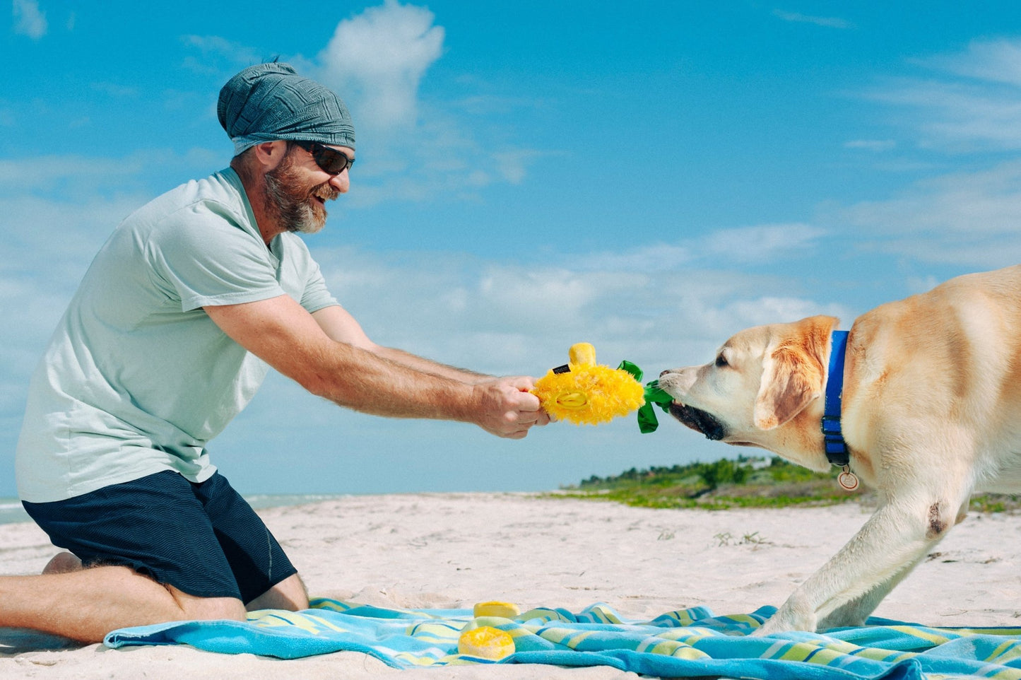 Tropical Paradise Paws Up Pineapple - Pet Supplier Store