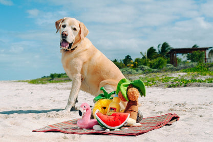 Tropical Paradise Puppy Palm - Pet Supplier Store