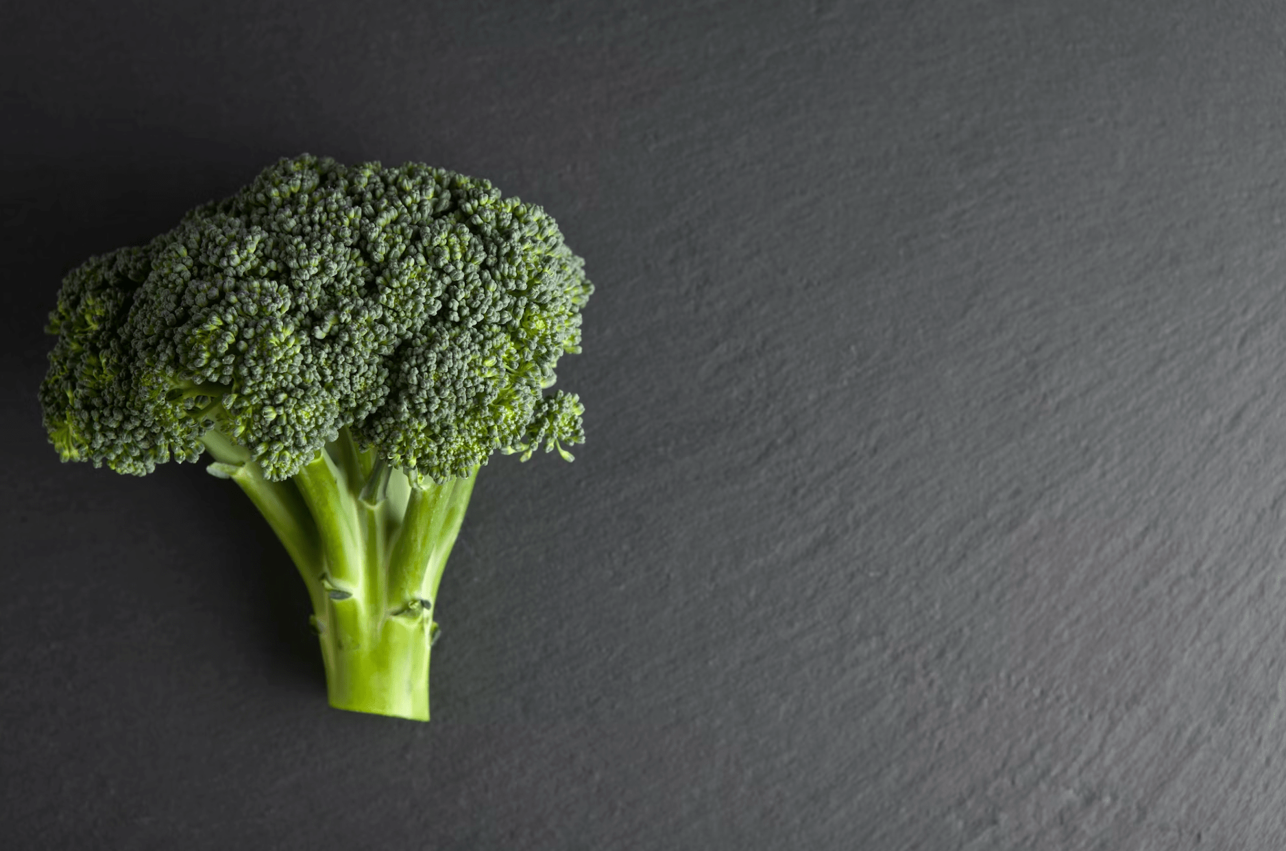 Tuna & Broccoli - Pet Supplier Store