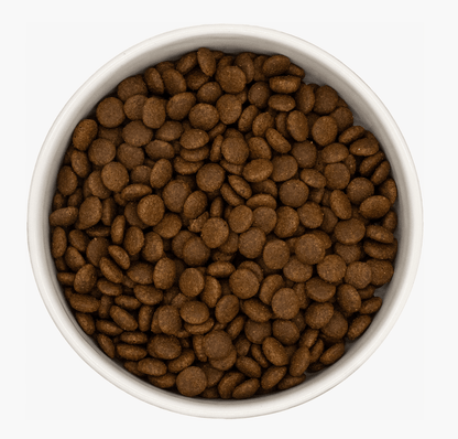 Turkey & Chicken - Pet Supplier Store