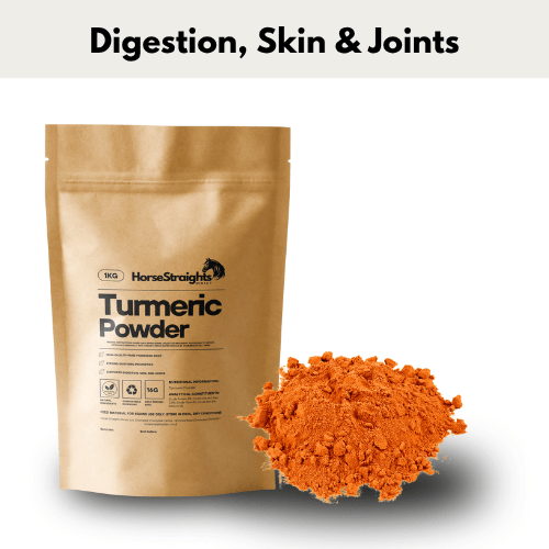 Turmeric - Pet Supplier Store