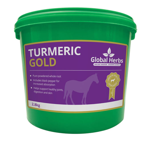 Turmeric - Global Herbs - Pet Supplier Store