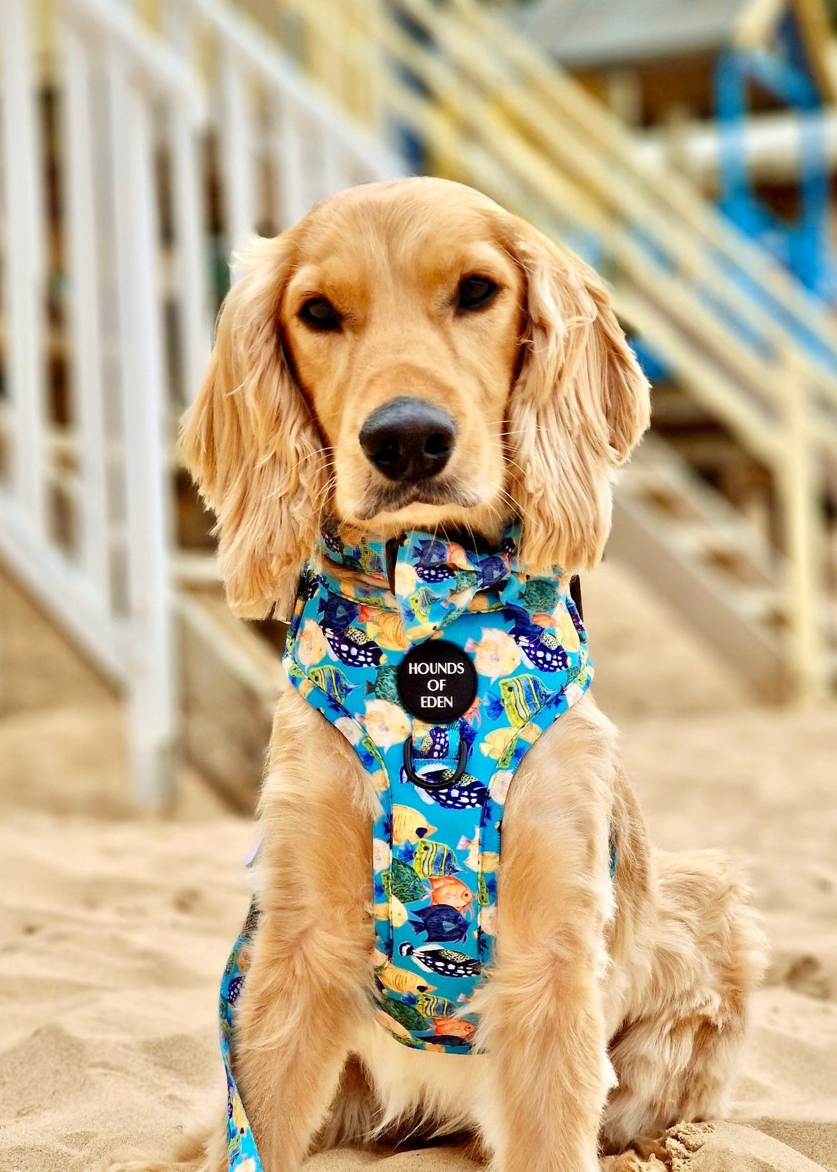Under The Sea Design Poop Bag Holder - Pet Supplier Store