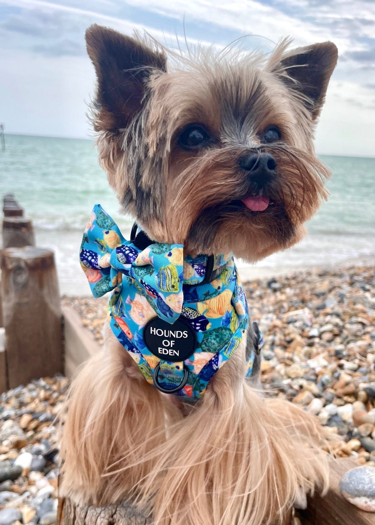 Under The Sea Design Poop Bag Holder - Pet Supplier Store