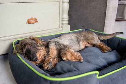Urban Plush Lounge Bed - Pet Supplier Store