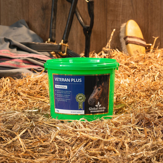 Veteran Plus 1kg - Global Herbs - Pet Supplier Store