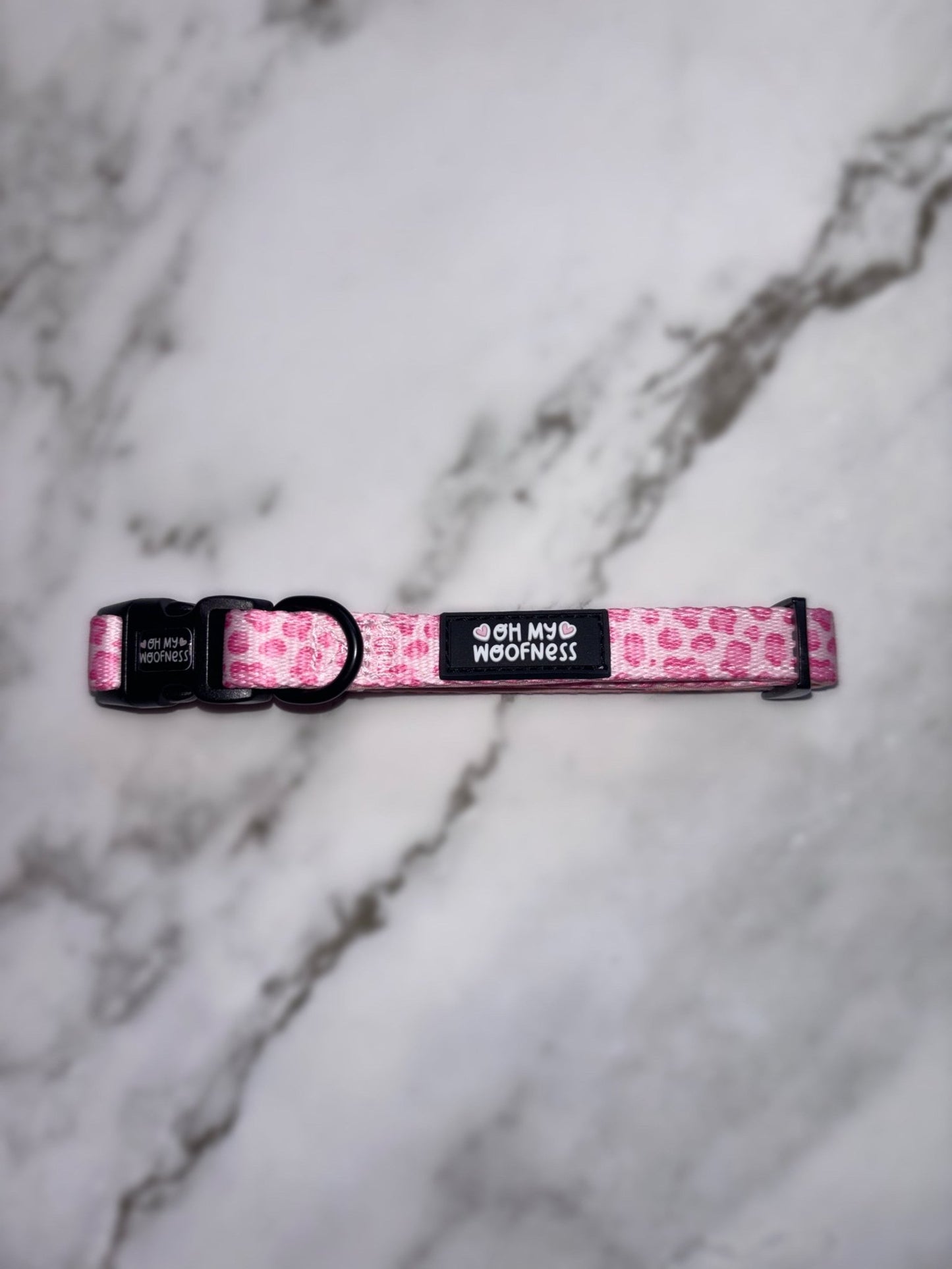 Walk on the Wild Side Collar - Pet Supplier Store
