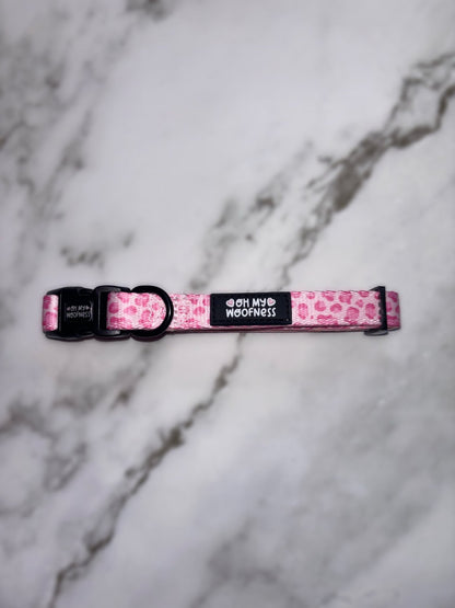 Walk on the Wild Side Collar - Pet Supplier Store