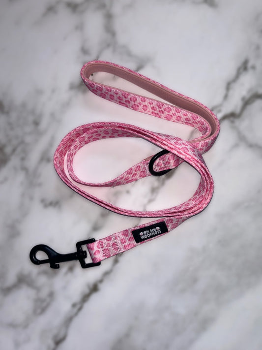 Walk on the Wild Side Lead - Pet Supplier Store