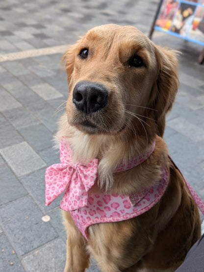 Walk on the Wild Side Sailor Bow - Pet Supplier Store