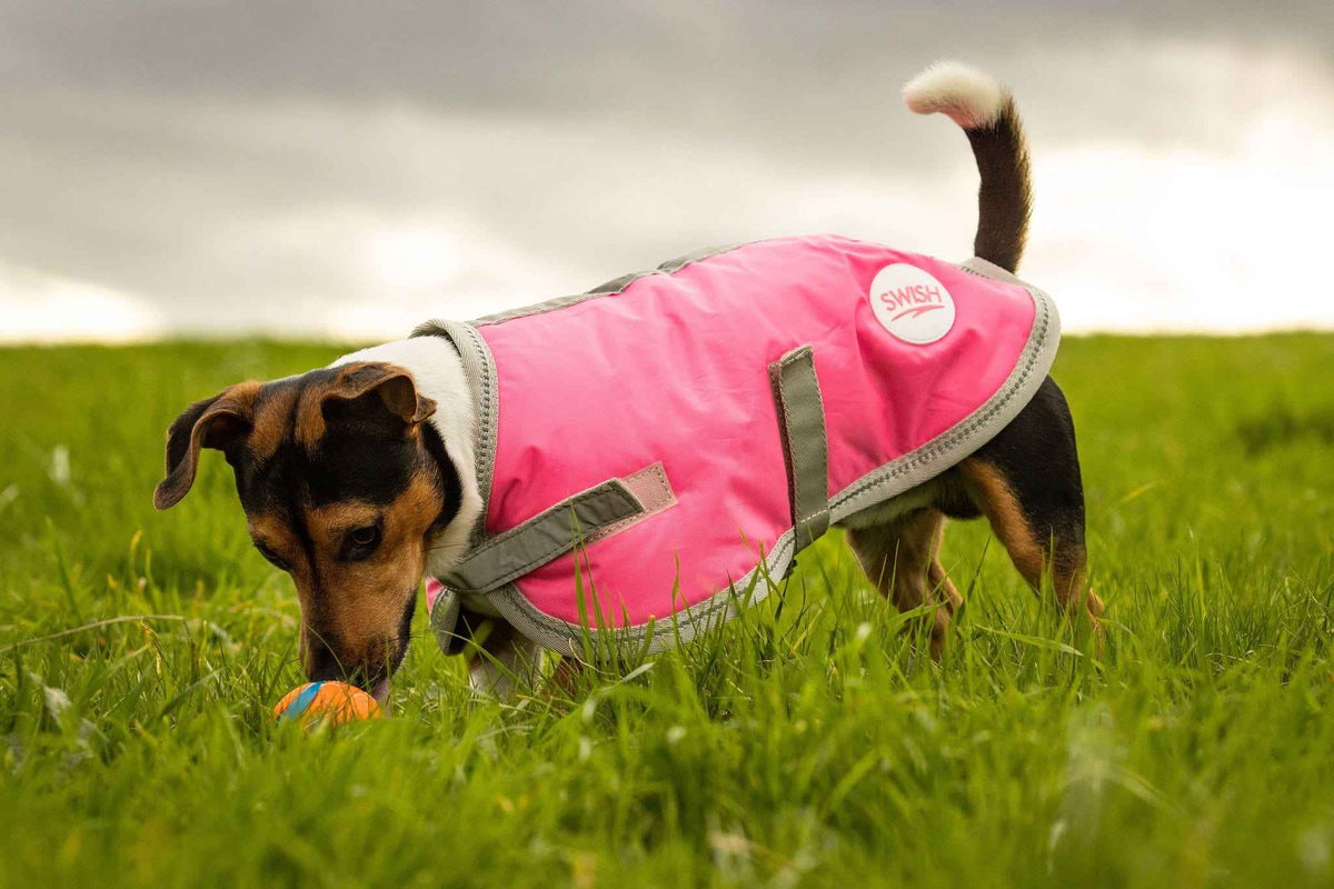Waterproof Dog Coat - High Viz Pink - Pet Supplier Store