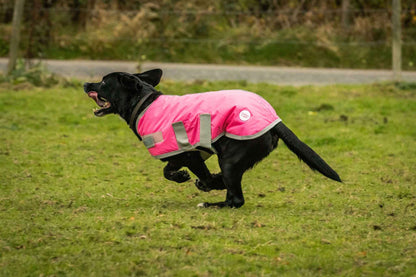 Waterproof Dog Coat - High Viz Pink - Pet Supplier Store