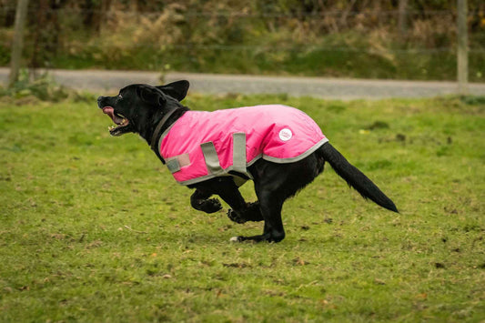 Waterproof Dog Coat - High Viz Pink - Pet Supplier Store