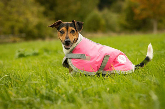 Waterproof Dog Coat - High Viz Pink - Pet Supplier Store