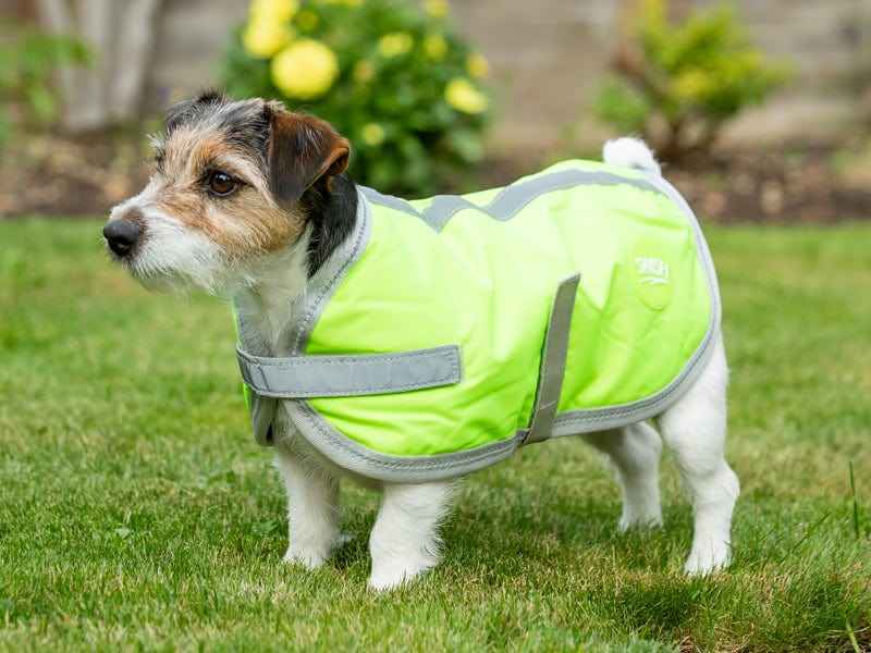 Waterproof Dog Coat - High Viz Yellow - Pet Supplier Store