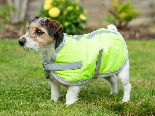 Waterproof Dog Coat - High Viz Yellow - Pet Supplier Store