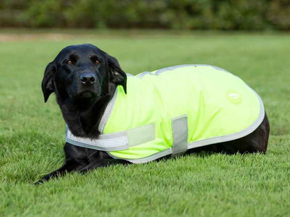 Waterproof Dog Coat - High Viz Yellow - Pet Supplier Store