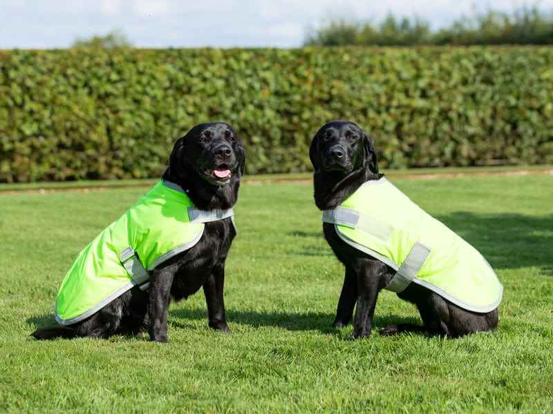 Waterproof Dog Coat - High Viz Yellow - Pet Supplier Store