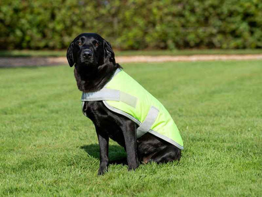 Waterproof Dog Coat - High Viz Yellow - Pet Supplier Store