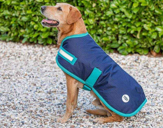 Waterproof Dog Coat - Navy - Pet Supplier Store