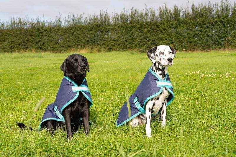 Waterproof Dog Coat - Navy - Pet Supplier Store