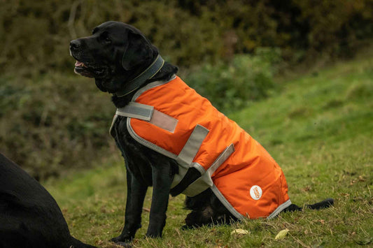 Waterproof Dog Coat - Orange - Pet Supplier Store
