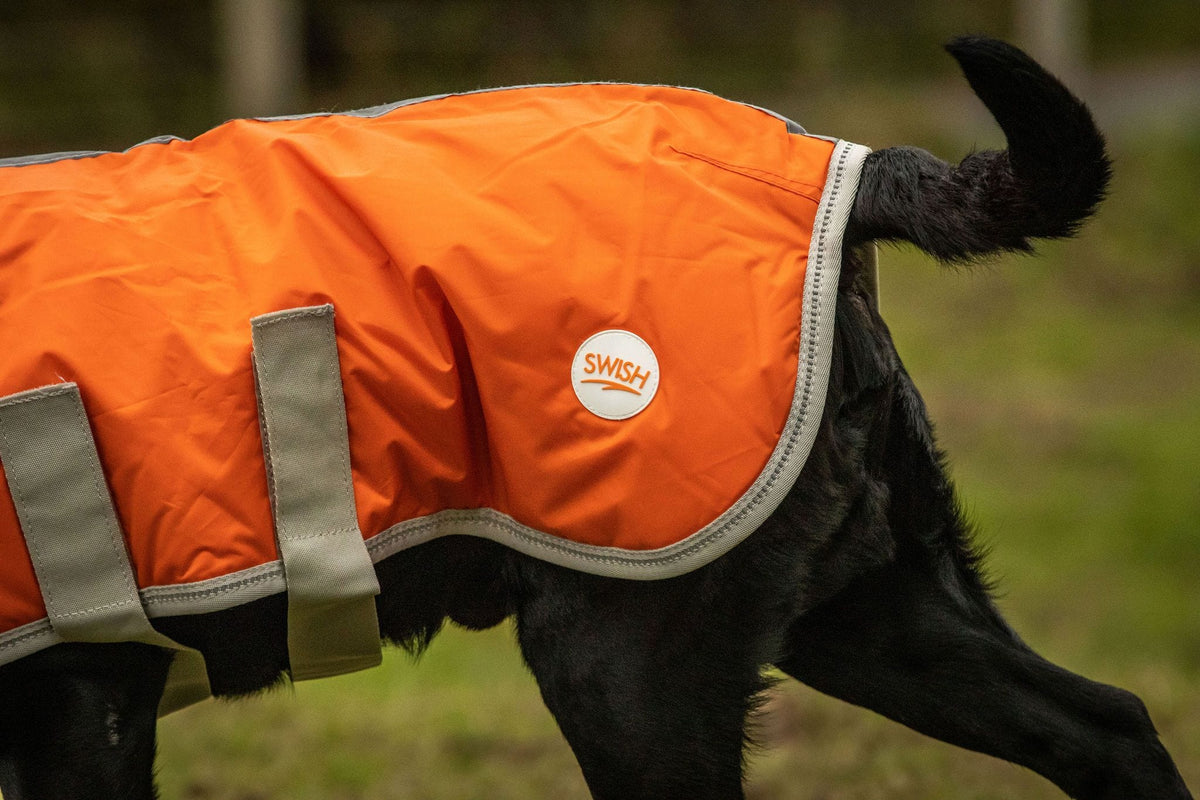 Waterproof Dog Coat - Orange - Pet Supplier Store