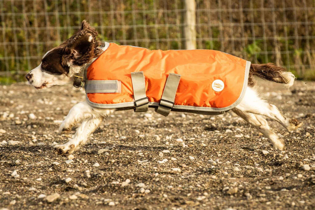 Waterproof Dog Coat - Orange - Pet Supplier Store