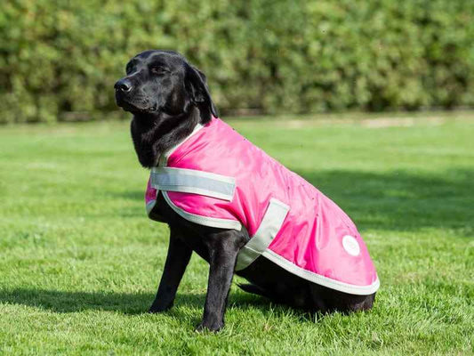 Waterproof Dog Coat - Raspberry - Pet Supplier Store