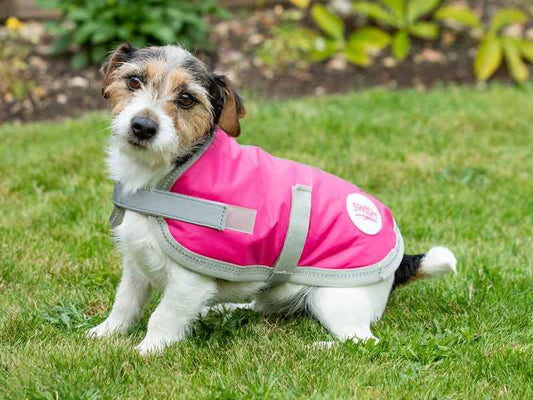 Waterproof Dog Coat - Raspberry - Pet Supplier Store