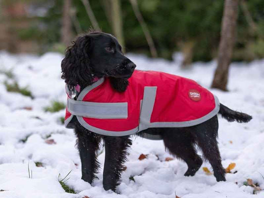 Waterproof Dog Coat - Red - Pet Supplier Store