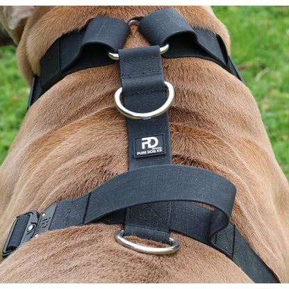 Waterproof Harness - Pet Supplier Store