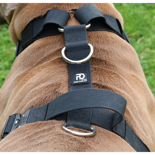 Waterproof Harness - Pet Supplier Store