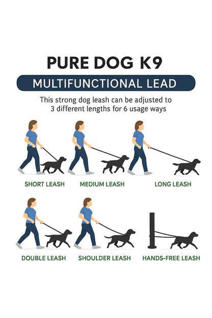 Waterproof Multifunctional Lead - Pet Supplier Store