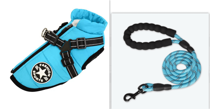 Wet 'n' Windy season rain silk Pet Dog Coat - Pet Supplier Store