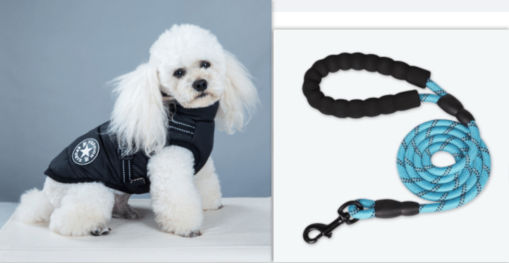 Wet 'n' Windy season rain silk Pet Dog Coat - Pet Supplier Store