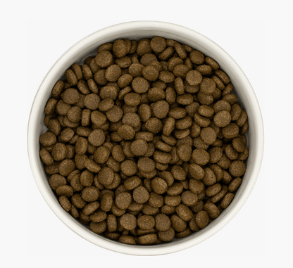 White FIsh & Nordic Herring Caviar - Pet Supplier Store