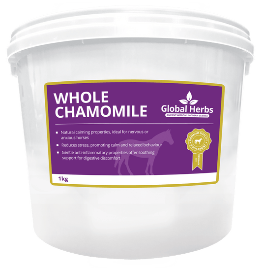 Whole Chamomile - Global Herbs - Pet Supplier Store